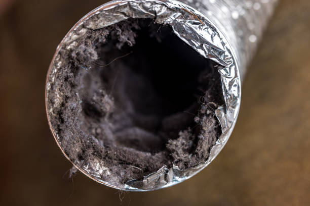 Best HVAC Duct Inspection Services  in Linden, TX