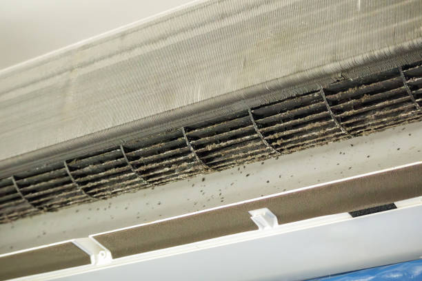 Best Air Duct Cleaning Near Me  in Linden, TX